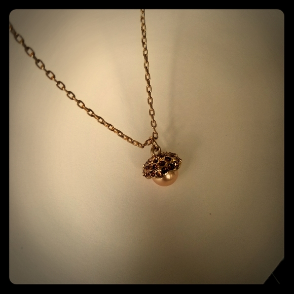 Banana Republic Jewelry - 🌻CLOSET SALE 🌻Banana Republic acorn necklace